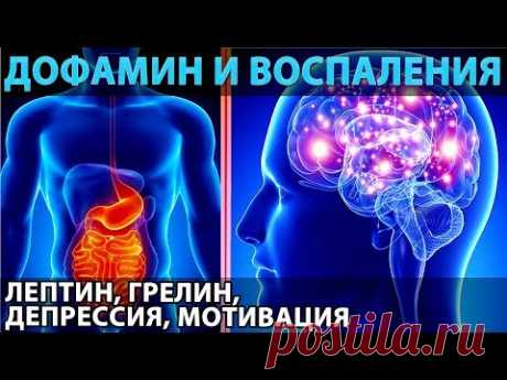 Дофамин и воспаления (а также лептин, грелин, мотивация, депрессия, питание и голодание) - YouTube

#дофамин #гормоны #нейромедиаторы #здоровье #депрессия #мозг #серотонин #психология #мотивация #питание