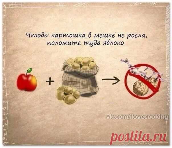 Полезные советы в картинках.