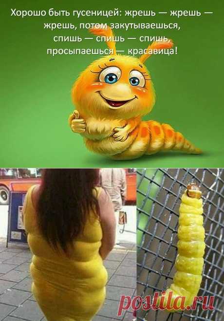&quot;Точь в Точь&quot; ..и без грима . 1-й канал отдыхает ))