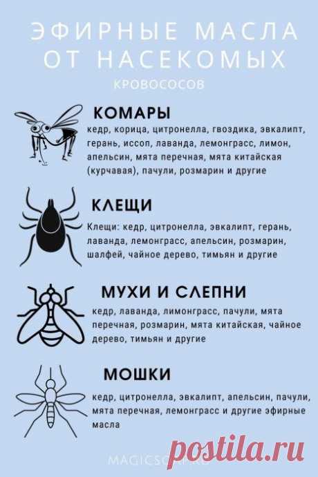 "Гвоздика и мята" - антимоскитный спрей-репеллент (рецепт и мастер-класс) | Волшебное мыло и прочие удовольствия