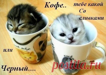 Людмила Дроздюк