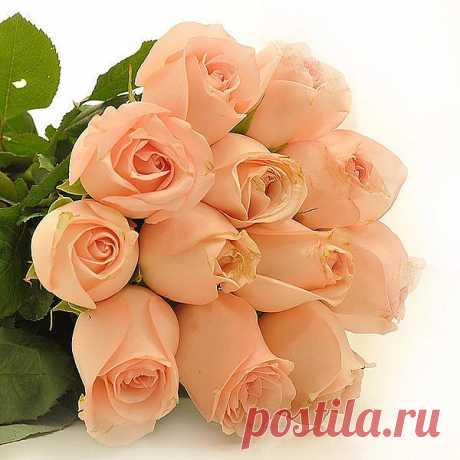 Мой Мир@Mail.Ru