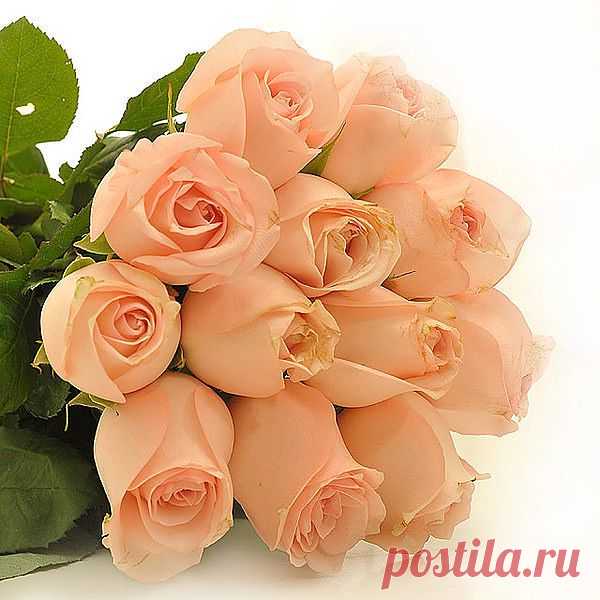 Мой Мир@Mail.Ru