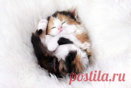 Мой Мир@Mail.Ru