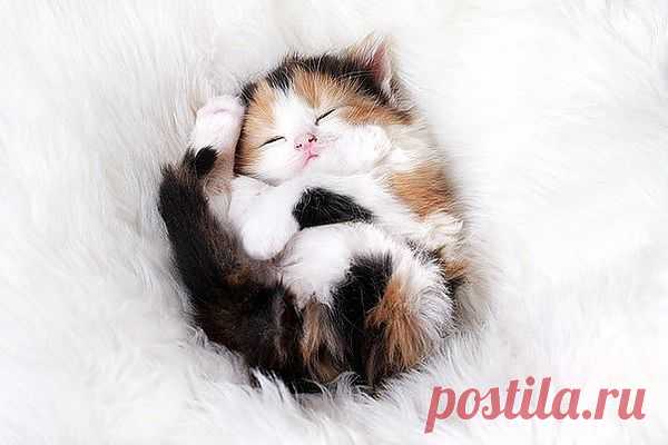 Мой Мир@Mail.Ru