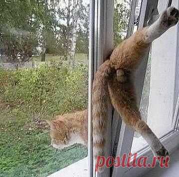 Валюша: Не предлагайте Дружбу --Мимоходом, -Порою даже не Сказав; "Привет" Не собиратель Я кол-ва Народа.. Друзей по Тысячи, поверьте Нет !!..