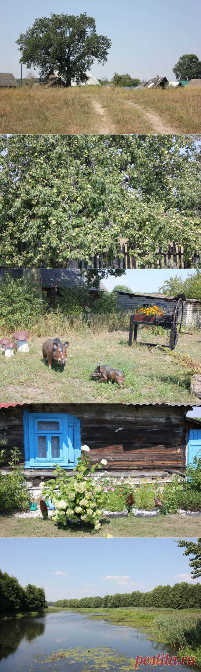 Белорусская глубинка