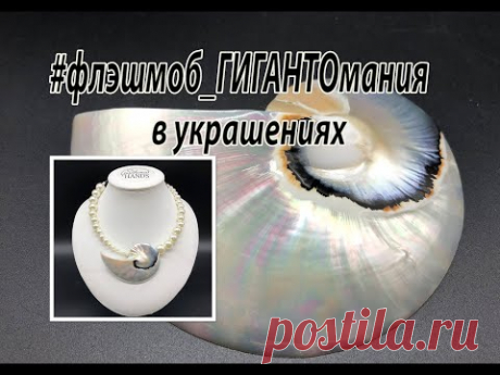 #флэшмоб_ГИГАНТОмания в украшениях. Чокер с кулоном из большой морской ракушки.