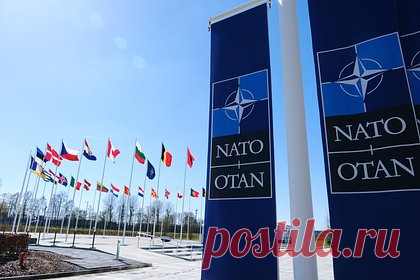 Трампу посоветовали закрыть двери в НАТО