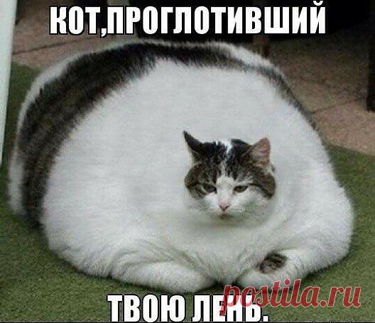 Мой Мир@Mail.Ru