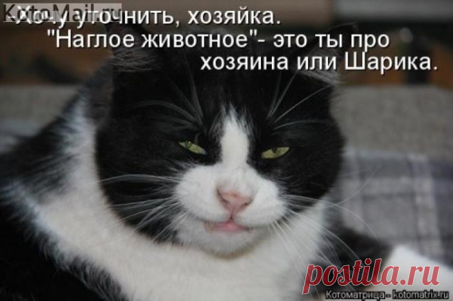 Хочу уточнить