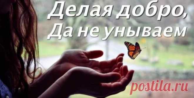 Притча про бумеранг добра - поучительная история — Бабушкины секреты Сплю третий день. Болею. Из сна меня сейчас выдергивает звонок по телефону.Я переполошилась спросонья, хватаю трубку, не глянув на номер:— Вы дали не правильный адрес или вас дома нет? — возмущается кто-то на другом конце трубки.— Вы кто, простите? — не понимаю я.— Я курьер. Я вам пакет везу от Н.