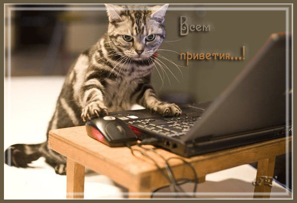 Дневник На-Туси