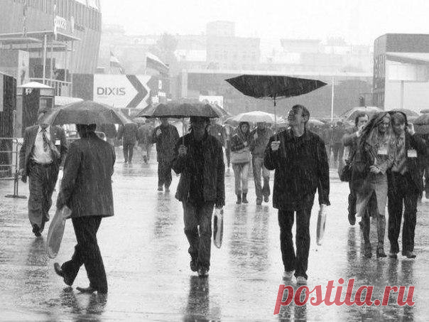 (2) Фото-монстр. Съёмка под дождём. Советы.