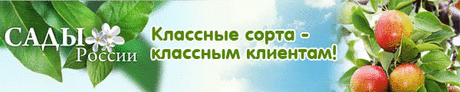 Проблемы при выращивании растений