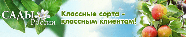 Проблемы при выращивании растений