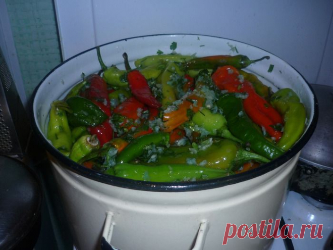 Перец горький по-армянски.