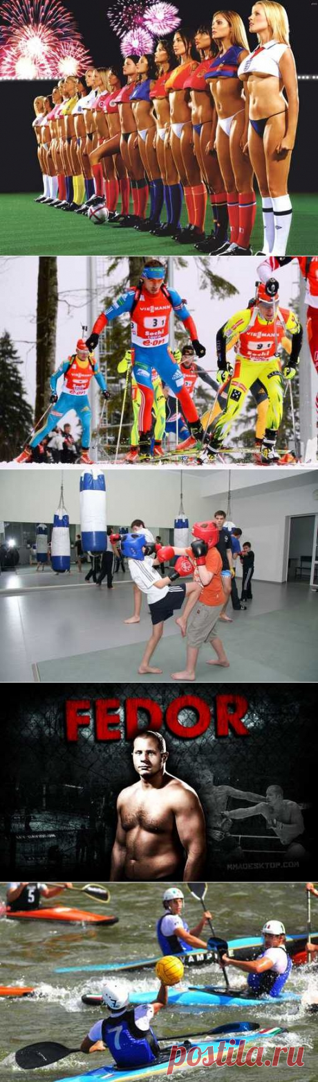 Лыжные гонки, Велосипедный спорт, Рэндзю, Ойна, Роллер-спорт. (1/1) - Спортивный форум. - Спортивный сайт