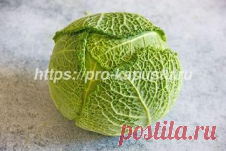 Как выращивать савойскую капусту своими руками на огорде Многие овощеводы хотели бы, но не знают, как выращивать савойскую капусту.  В этой статье мы расскажем все о том, как  вырастить эту красавицу своими руками.