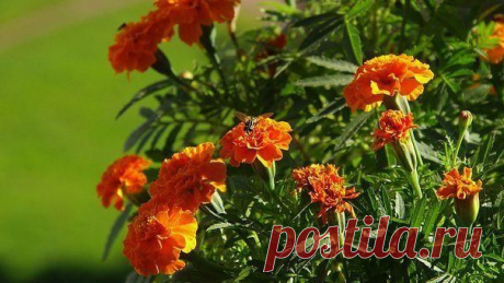 Фотографии на стене сообщества | 32 794 фотографии | ВКонтакте