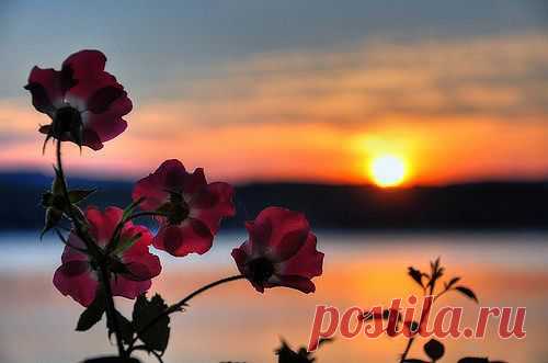 getImage (500×331)