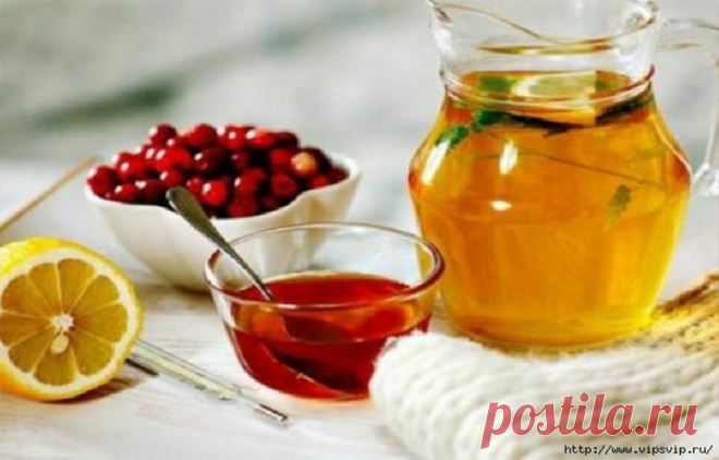 10 ЛУЧШИХ НАПИТКОВ ПРИ ПРОСТУДЕ! 1. Теплый чай с медом и лимоном. Если вы простудились,первым делом приготовьте некрепкий черный или зеленый чай ,в который добавьте 1 ч. л. меда и пару долек лимона. Очень важно не добавлять мед и лимон