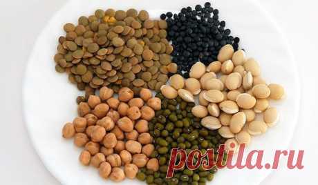 Вкусные рецепты