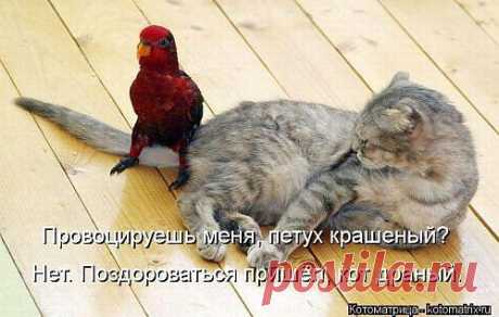 Отдых