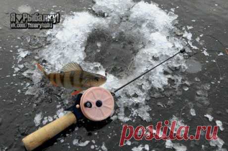 Как выбрать уд / Богатая добыча