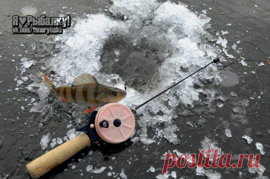 Как выбрать уд / Богатая добыча