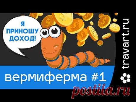 Червь старатель.  Домашняя вермиферма. Переработка отходов. ТРАВАРТ 2701 Андрей Протопопов - YouTube