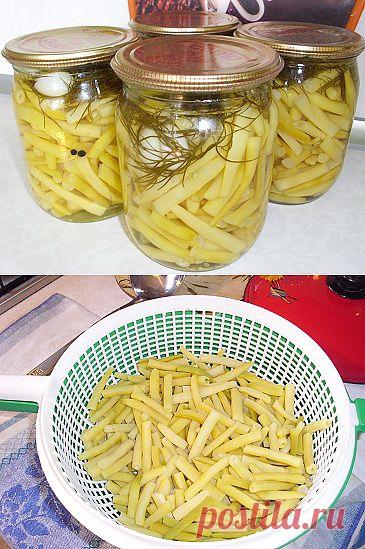 Спаржевая фасоль – маринованная | Рецепты моей мамы