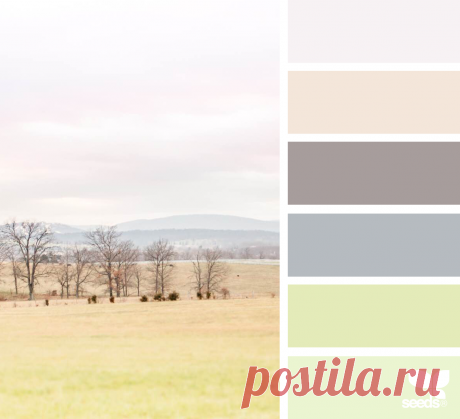 design seeds | for all who ♥ color