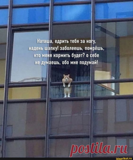 Наташа, едрить тебя за ногу, надень шапку! заболеешь, помрёшь, кто меня кормить будет? о себе не думаешь, обо мне подумай! - ) / АйДаПрикол .)