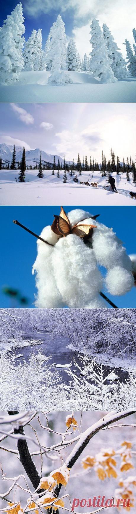 Природа, Красивые зимние пейзажи, 3578, зима, , basik.ru