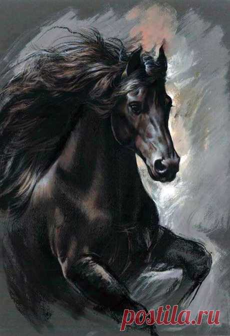 (9) Pinterest