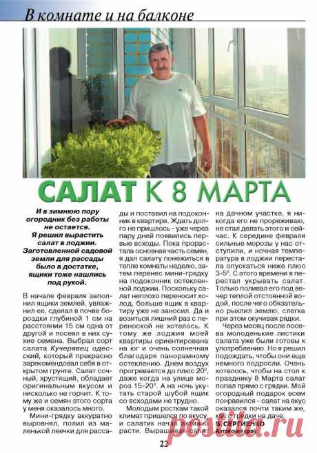 Салат на подоконнике