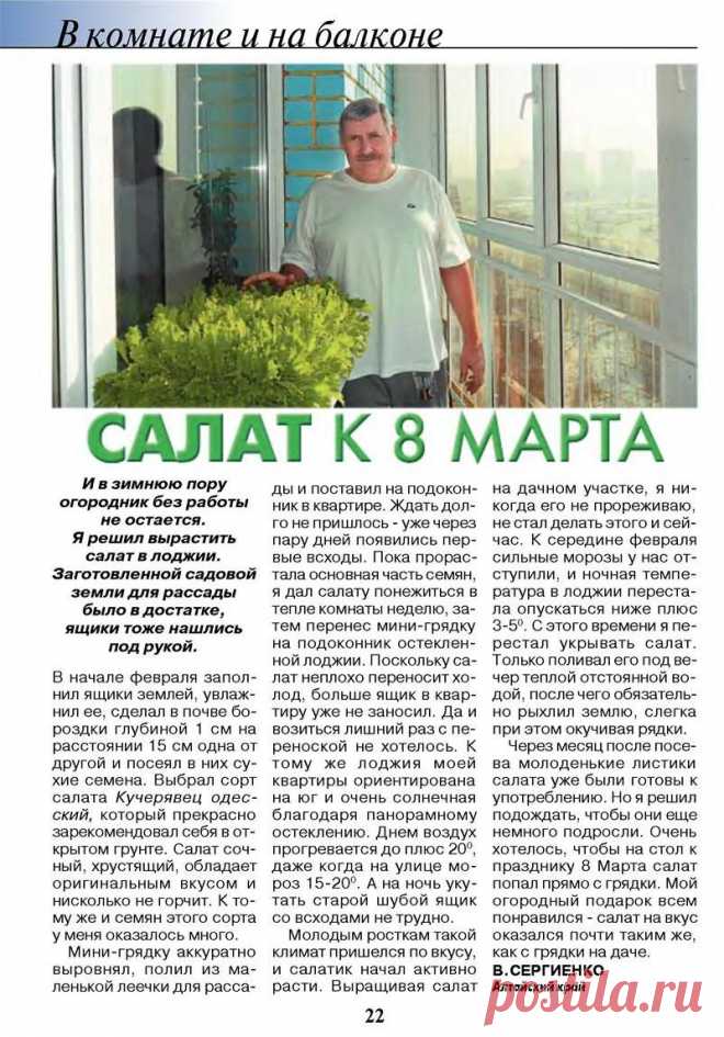 Салат на подоконнике