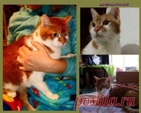 Татьяна Кузнецова