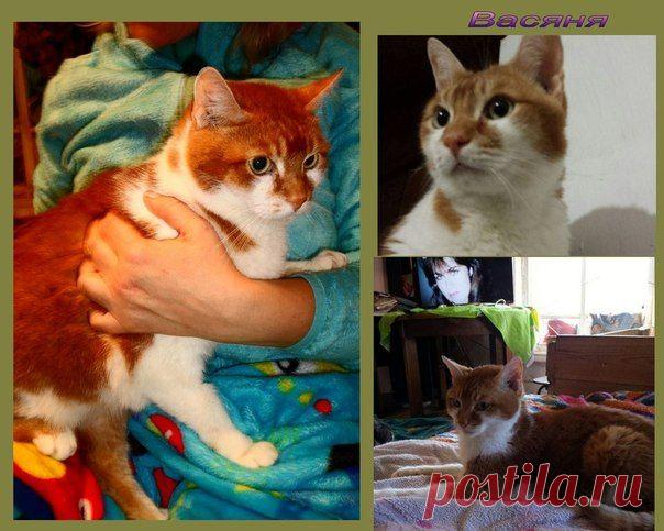 Татьяна Кузнецова