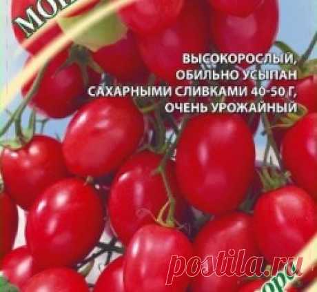 Томат Монисто розовое
