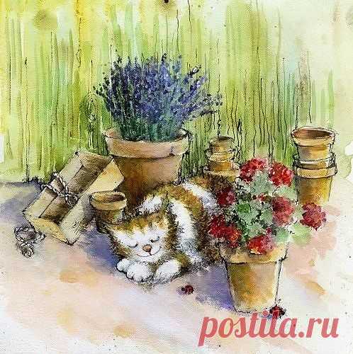 Новости