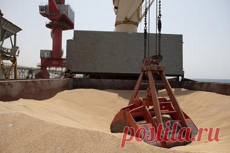 В Турции назвали объем вывезенного с Украины по морскому коридору зерна. За время работы зернового коридора начиная с июля 2022 года с Украины было вывезено около 17 миллионов тонн сельскохозяйственной продукции. Объем назвал министр обороны Турции Хулуси Акар. «Почти 17 миллионов тонн зерна было отправлено нуждающимся», — сообщил он. Коридор подразумевает вывоз зерна по Черному морю.