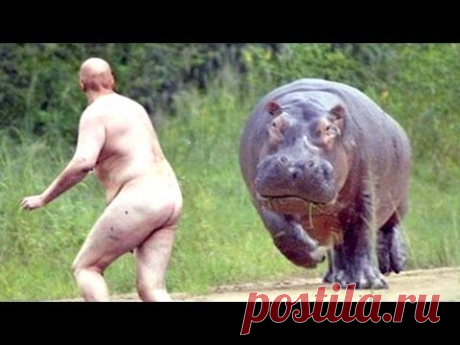 ЛУЧШИЕ ПРИКОЛЫ #304