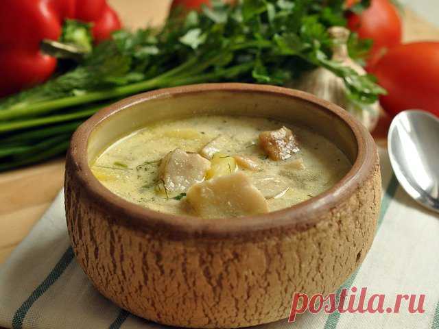 Суп из боровиков (белых грибов) - рецепт с пошаговыми фото