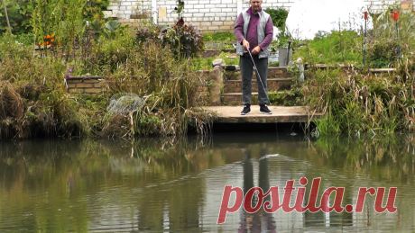 Пруд с рыбой на даче. Зарыбление, обслуживание и отдых | Хозяйство Воронова | Яндекс Дзен