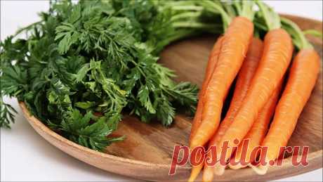 Морковная ботва в сотни раз полезнее самой моркови. Расскажем от чего помогает настой из неё |... Сладкую морковку любят и взрослые, и дети. Только вот в пищу обычно употребляют корнеплод, а ботву выбрасывают. А зря, ведь она может пригодиться в хозяйстве. Советы по применению морковной ботвы в...