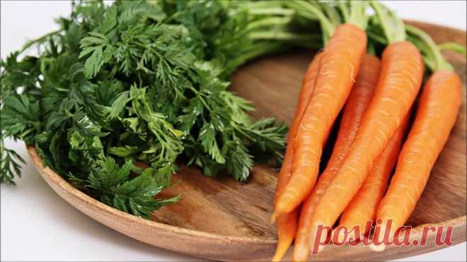 Морковная ботва в сотни раз полезнее самой моркови. Расскажем от чего помогает настой из неё |... Сладкую морковку любят и взрослые, и дети. Только вот в пищу обычно употребляют корнеплод, а ботву выбрасывают. А зря, ведь она может пригодиться в хозяйстве. Советы по применению морковной ботвы в...