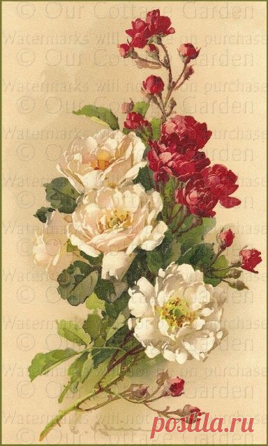 (723) Pinterest: инструмент для поиска и хранения интересных идей