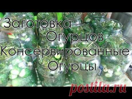 Рецепт хрустящих консервированных огурцов на зиму